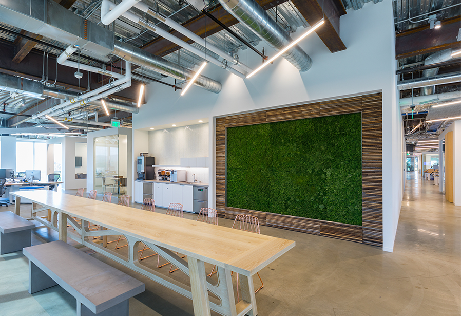Image of a modern office hall with a long table with chairs. In the background there's a coffee machined and a wall with vertical grass greenery.