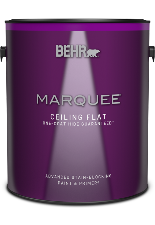 1 gal can of Marquee Ceiling Paint