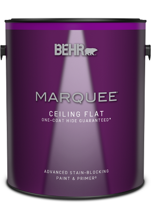 1 gal can of Marquee Ceiling Paint