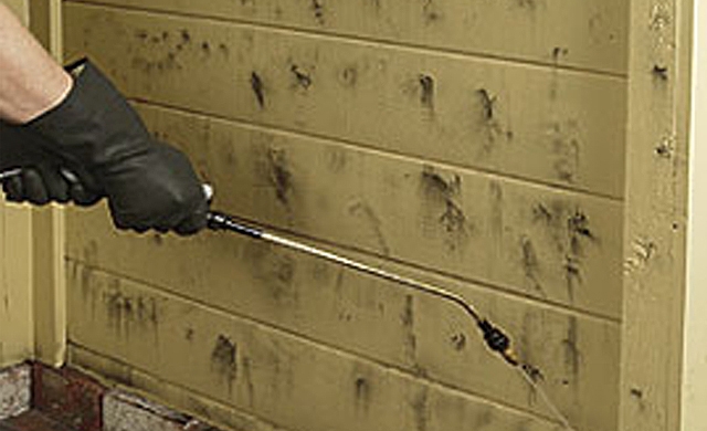 Image demonstrating mildew removal from exterior siding.