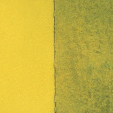 Close up image of a surface that resembles mildew growing because of dirt, dust particles accumulating on the paint film.