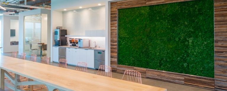 Image of a modern office hall with a long table with chairs. In the background there's a coffee machined and a wall with vertical grass greenery.