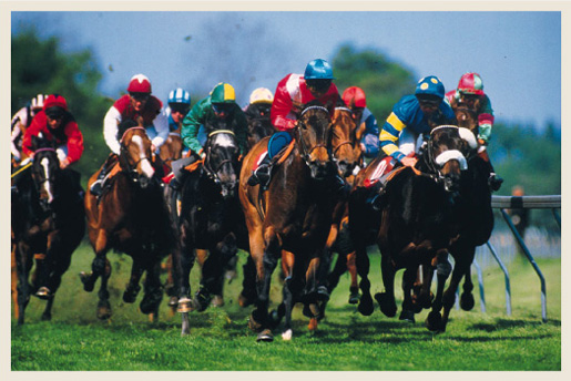 Kentucky Derby Race Hero