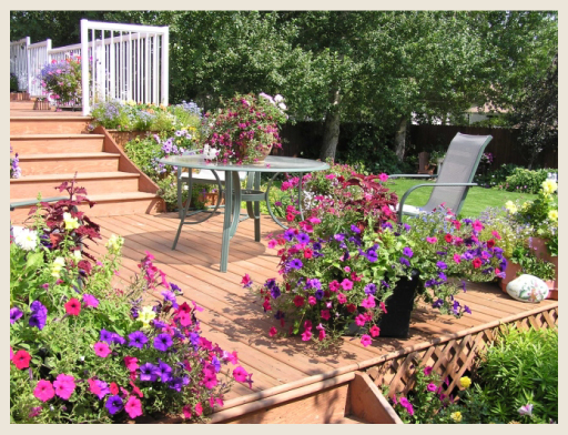Flower displays on deck - Colorfully BEHR