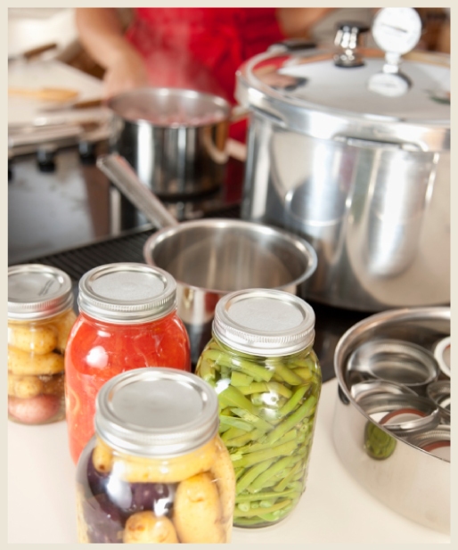 Vegetable Canning Kit Colorfully BEHR