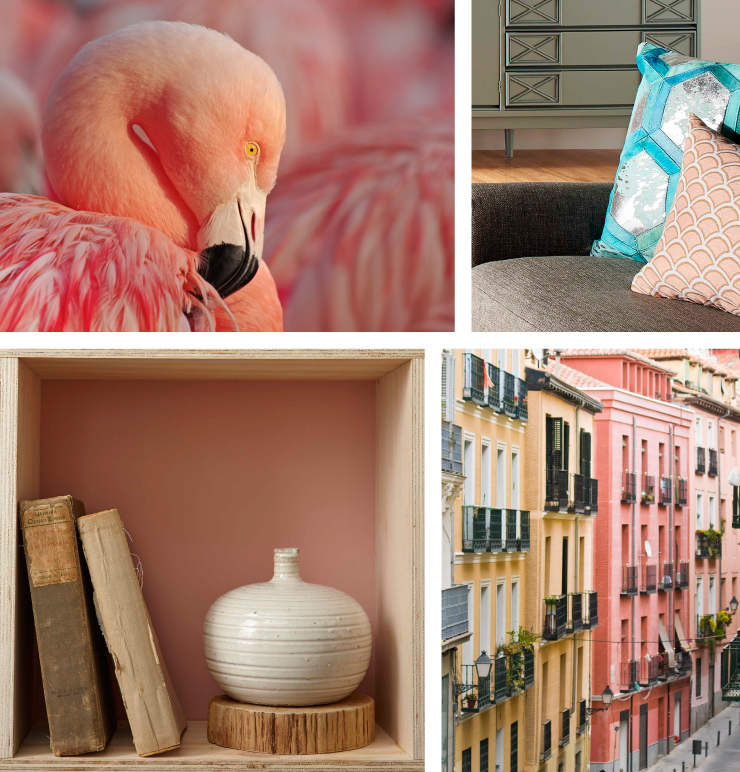 A collage of images representing the paint color: Flamingo Feather