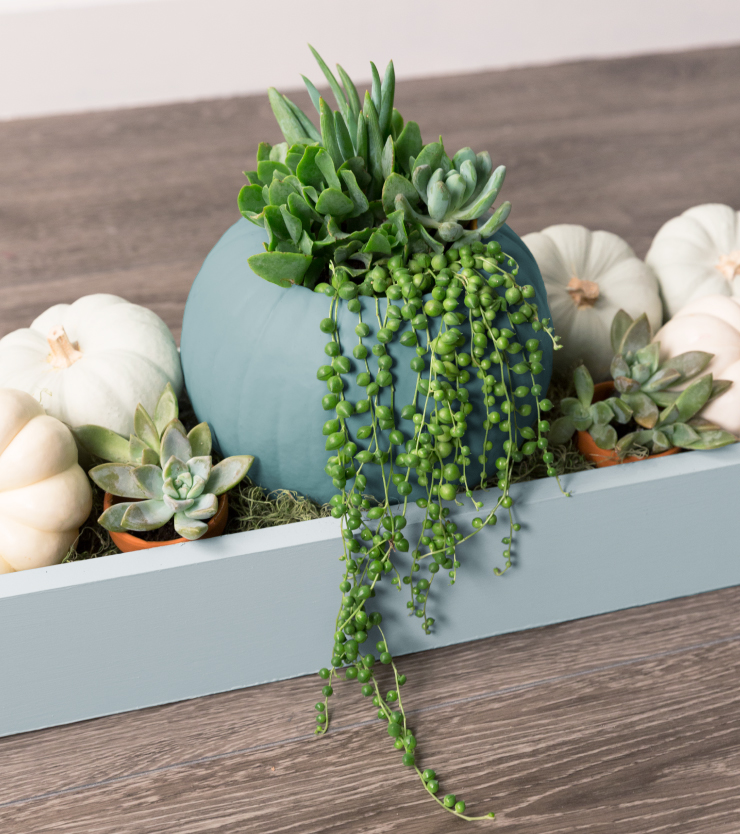 A blue colored box holding pumpkins that are painted in white, blue, and green paint colors. In the center is a larger pumpkin painted in blue with a succulent plant inside it.