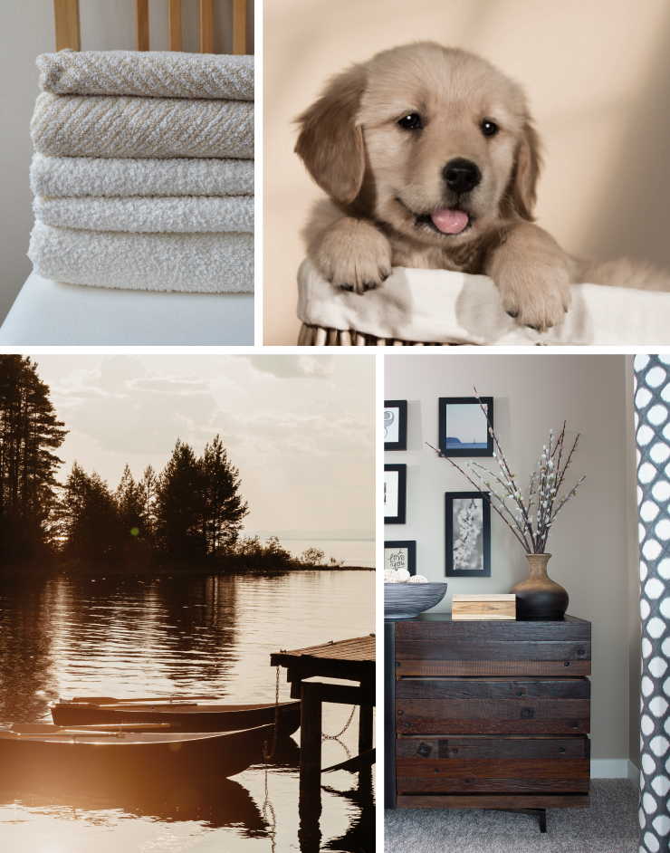 A collage of images representing the color Adobe Sand. A pile of neutral colored blankets sitting on a chair. A puppy popping out of a basket. A peaceful lake view just after sunset. A wood side dresser sitting against a wall that is painted in Adobe Sand.