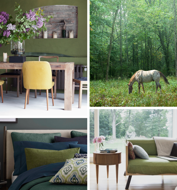 A collage of four images representing the color Secret Meadow. A rustic dining area with walls painted in Secret Meadow. A grassy field with tall green trees in the background, a horse is in the foreground eating grass. A tight crop of a bedroom showing the top half of bed and pillows. A living room with a couch sitting in front of a large window. Outside the window shows green grass and trees.