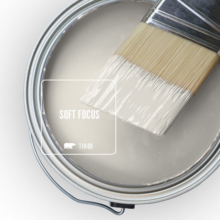 Soft Focus Paint Color | Colorfully BEHR