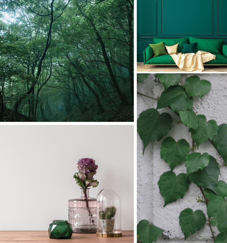A collage of four images representing the color Vine Leaf. Images are as follows: A tunnel of trees in a forest. A livening room with a bright green couch and wall painted in Vine Leaf. A close up of glass vases with plants. A tight crop of green vine leaves coming down the side of a wall. 