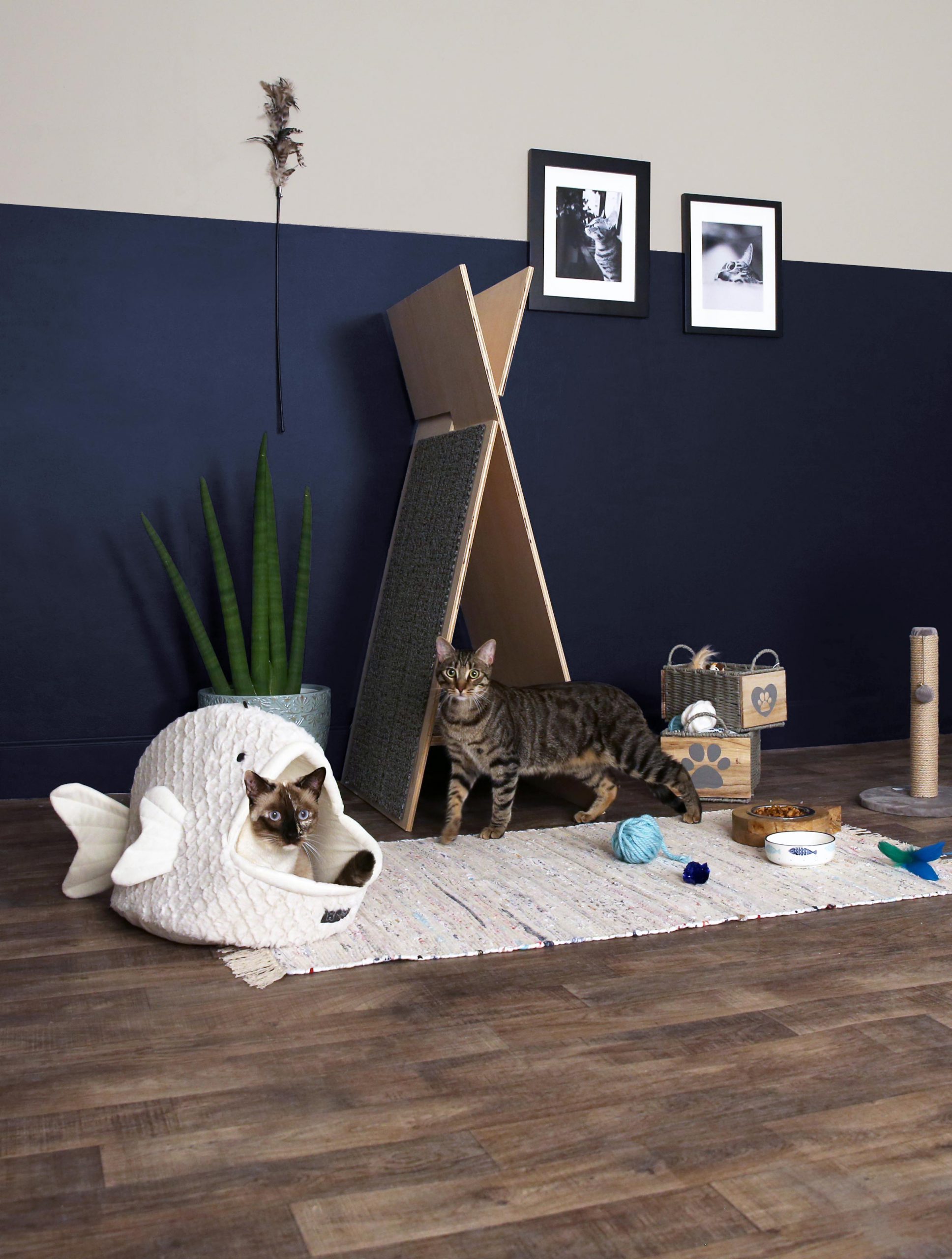 A two tone wall kitty play area, upper wall is painted in light neutral color, lower wall is painted in dark blue color called Dark Navy. 