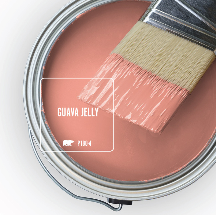 Paint Swatch - Open paint can with paint brush that was dipped showing paint color for Guava jelly.