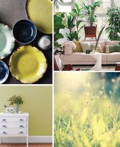 Color of the Month: Spring Grass | Colorfully BEHR
