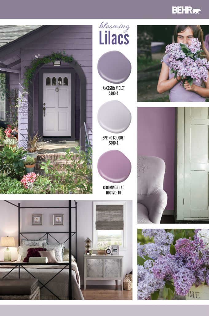 Purple Colour Paint Hues to Brighten up your Interiors