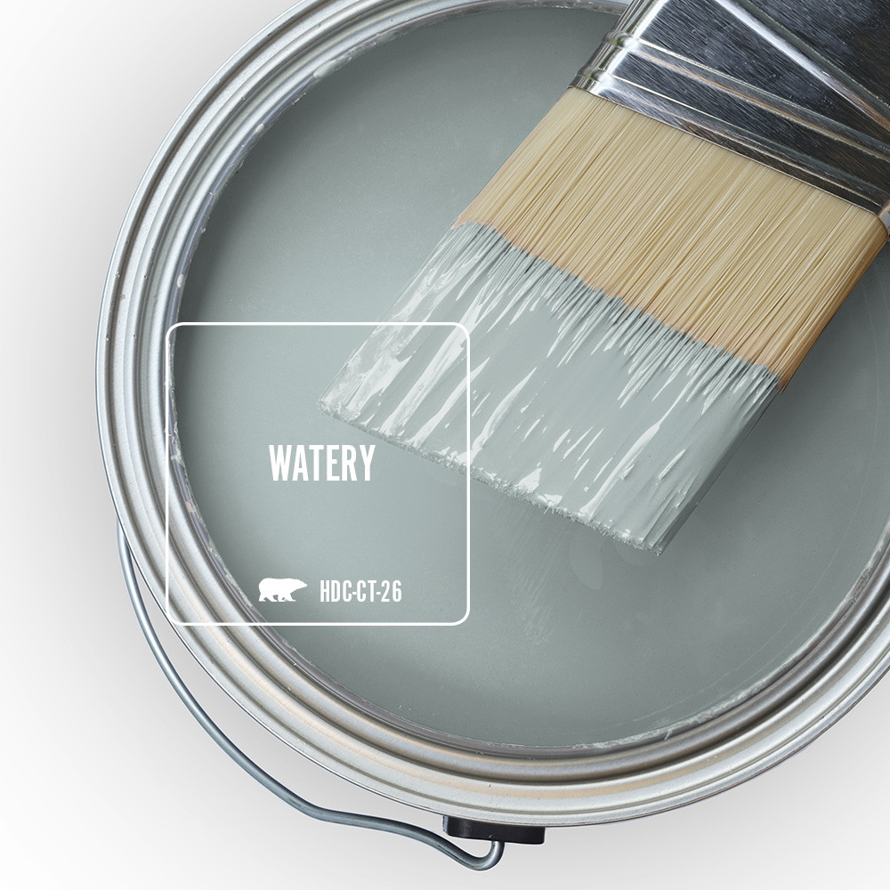 A photo of a paint filled with Watery can and paint brush half dipped in the paint of Watery.  