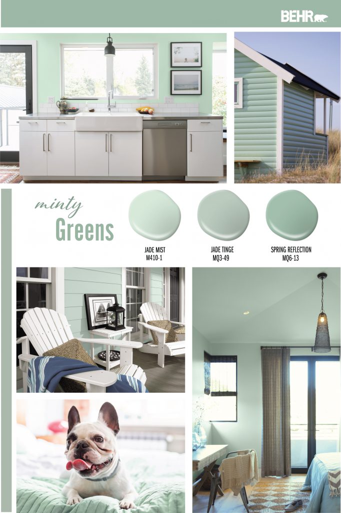 Inspiration Board featuring three green paint drops: Jade Mist, Jade Tinge, Spring Refection.
Images shown are the following:
-A kitchen with the walls painted in Jade mist.
-The side of a beach house painted in Spring Refection.
-Front porch of home with two white chairs. Exterior is painted in Jade Mist.
-A dog sitting on a bed.
-A bedroom with walls and ceiling painted in Jade Tinge.

