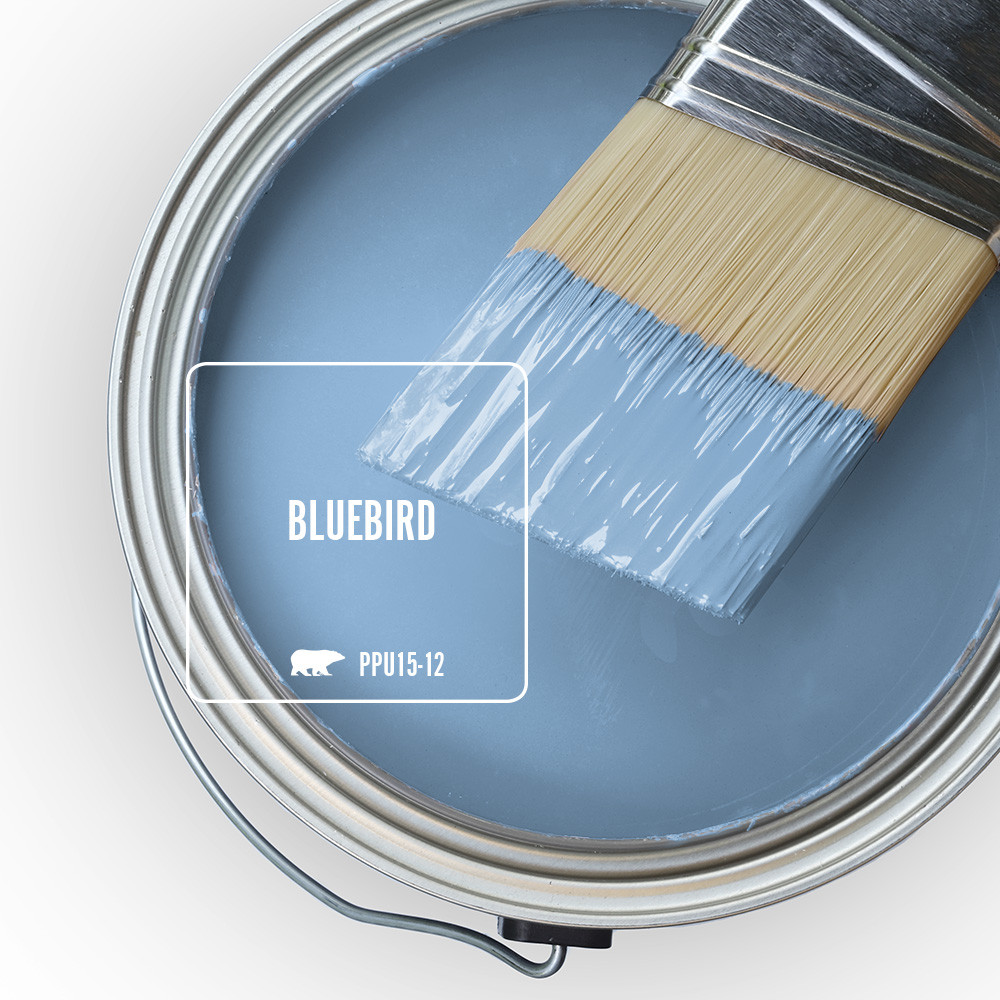 Top view of an open paint can tinted to blue color called Bluebird.