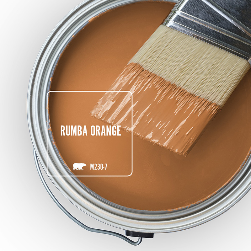 The top view of an open paint can and brush, featured color is Rumba Orange. 