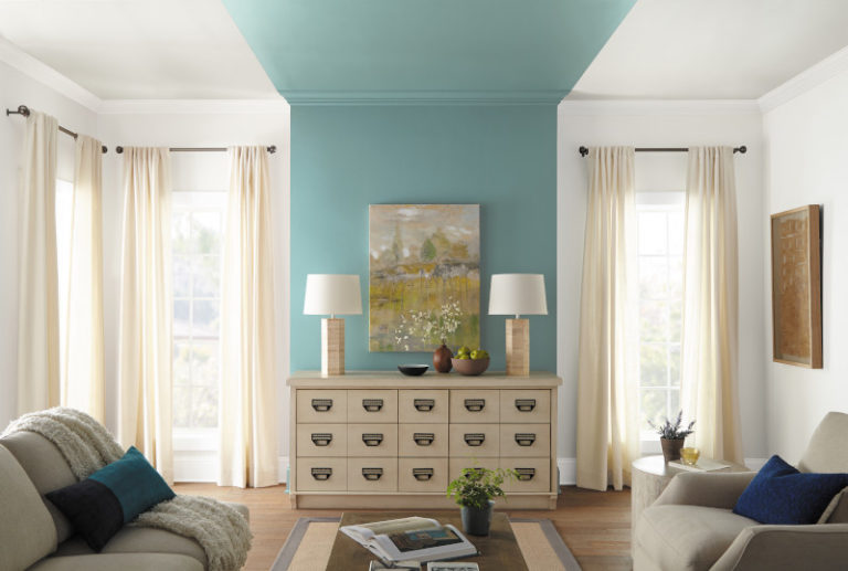 Color of the Month Dragonfly Colorfully BEHR