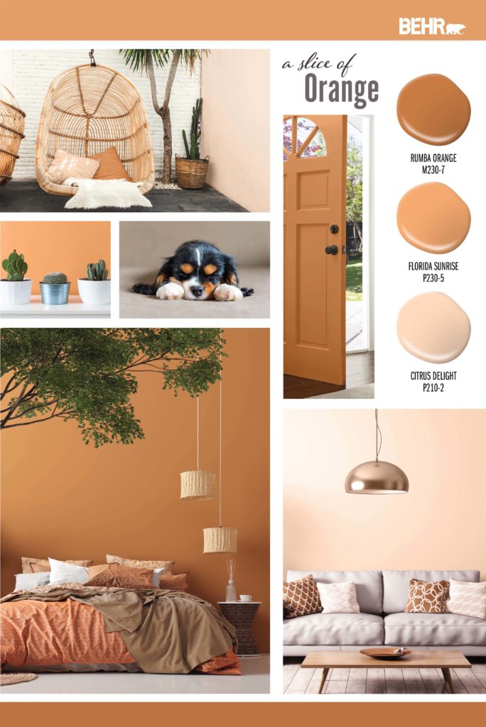 An Inspiration board featuring different orange hues: Rumba Orange M230-7, Florida Sunrise P230-5, Citrus Delight P210-2.
Images are of the follow: Outside area with a wicker swing and side wall is painted a light orange color. A front door painted in a dark orange hue. A wall painted in a bright orange with three cactus plants sitting in front of the wall. A dog siting on the floor relaxed. A bedroom with a dark orange painted wall. In the room you see tree branches with green leaves, hanging lights and a rattan side table. The bedding is decorated with blankets that are different shades of orange and browns. A living room with brown and cream pillows. A copper colored light hangs above the couch. 

