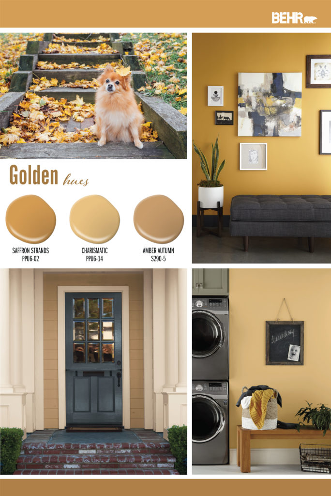 An inspiration board featuring golden-yellow color paint drops; Saffron Strands PPU6-02, Charismatic PPU6-14, Amber Autumn S290-5
Images are of the following: 
An outside pathway of stairs covered with yellow and brown fall leaves. There is a small dog sitting in the foreground on the steps.
A hallway painted in a slightly vibrant golden-yellow paint color. The wall is covered with pictures and a bench sits in front of the wall.
A laundry room with the walls painted in a medium toned golden-yellow paint color.
An exterior entryway with the house painted in a soft golden-yellow paint color.