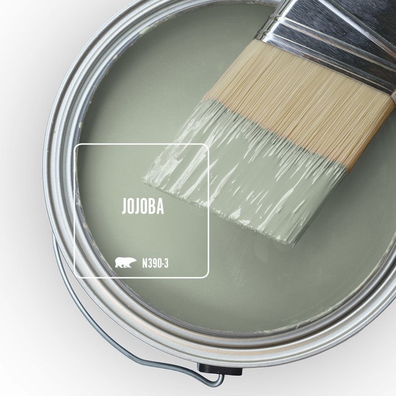 The top view of an open paint can and a half dipped paint brush, the color featured on the can is called  Jojoba. 