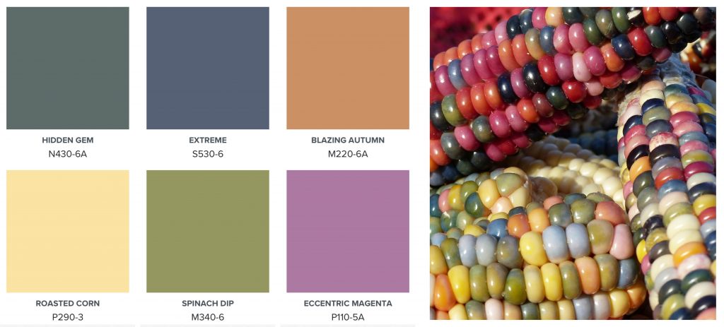 A color palette with gem-stone colors, next to it shows ears of corn in gem-stone kernels.