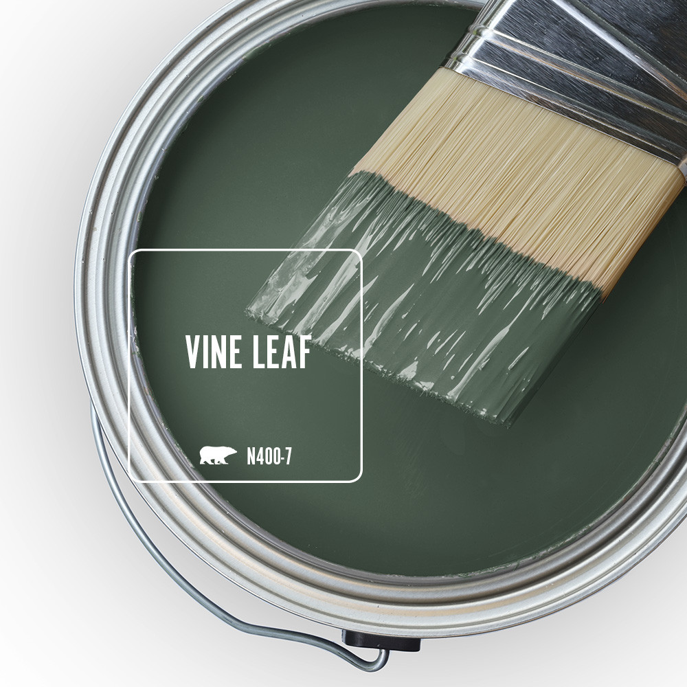 The top view of an open paint can, the featured color is a dark green called Vine Leaf. 