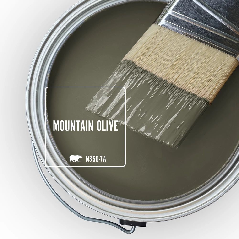 The top view of an open paint can featuring a dark olive green color, Mountain Olive. 