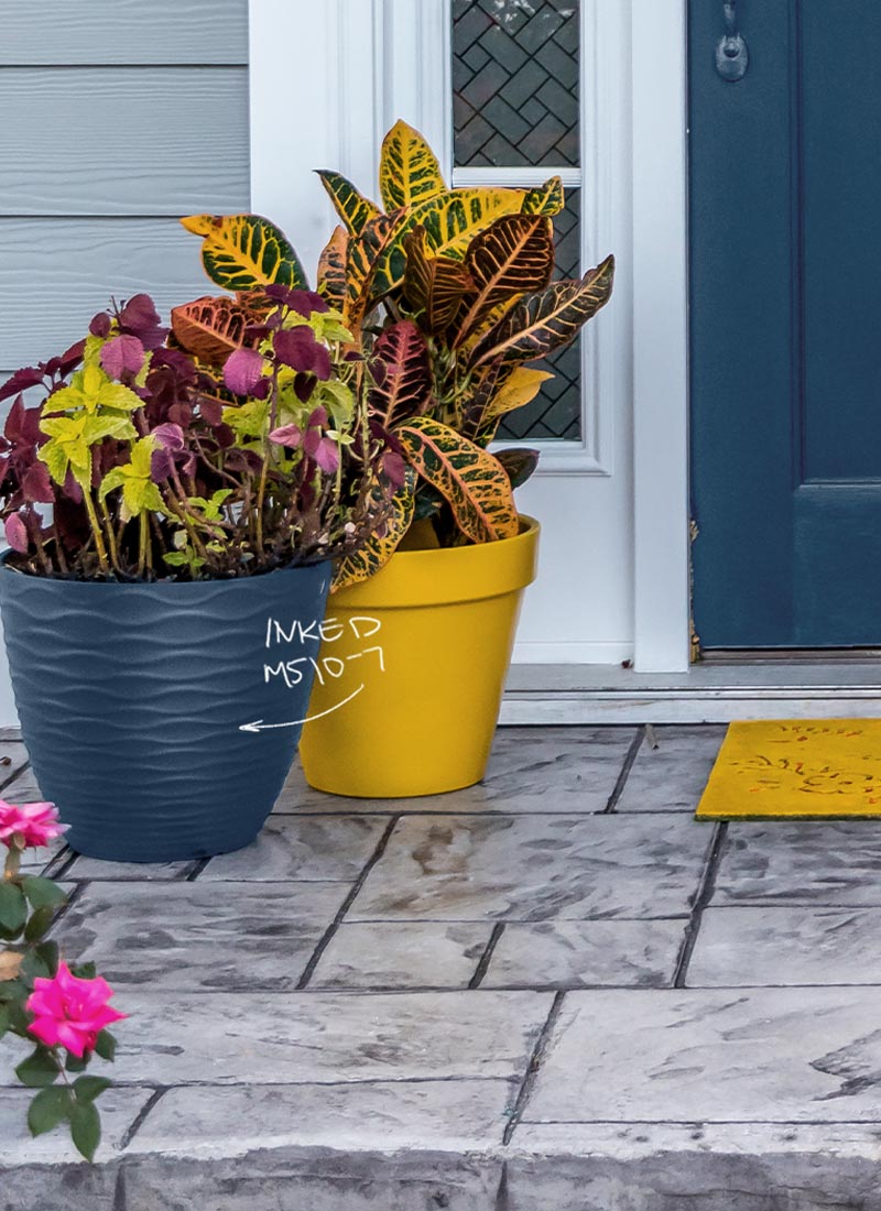 Planting pot on front porch, pot spray painted in Inked, Behr Premium Spray Paint.