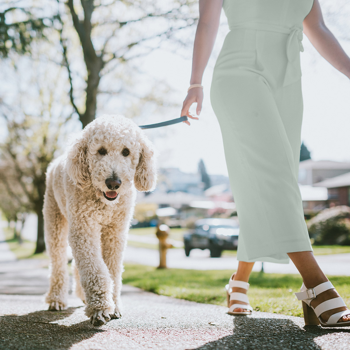 A lady walking her dog. She is wearing soft, sea glass green colored pants.