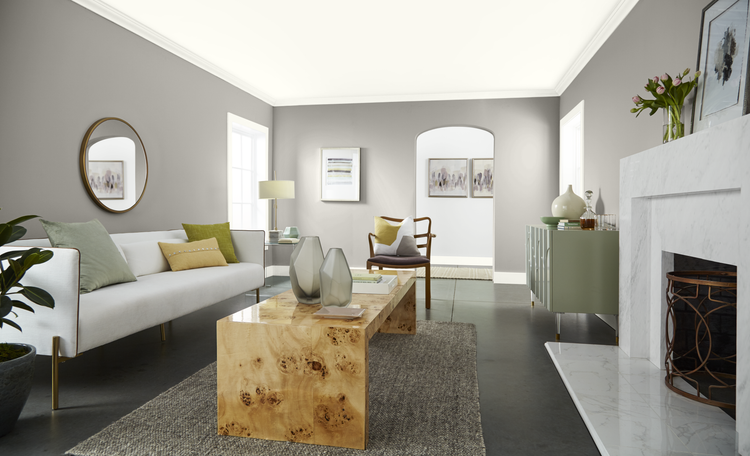 Modern living room with Chic Gray walls and Polar Bear ceiling