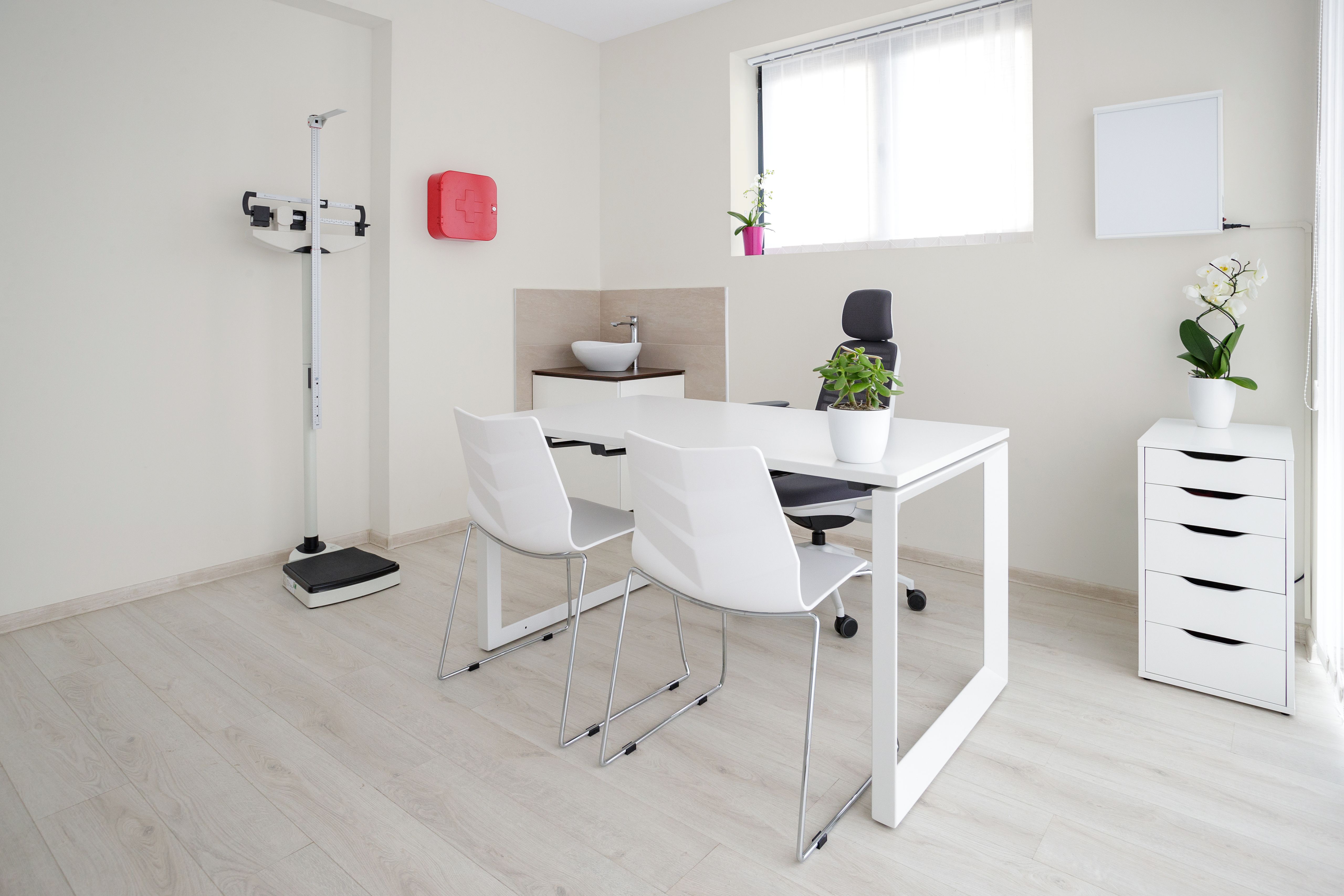 Healthcare consultation space featuring blank canvas