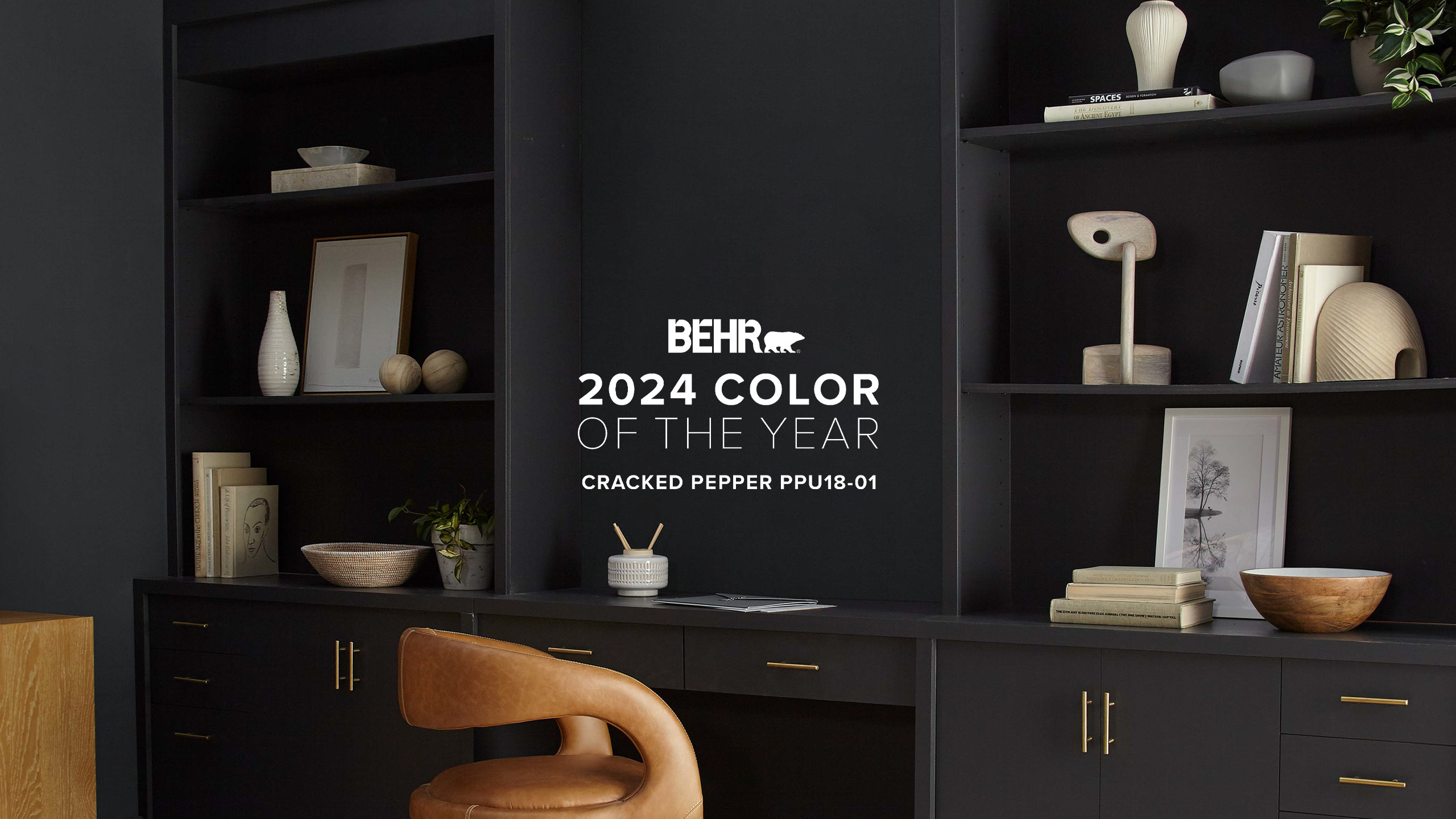 BEHR Color of the Year - Cracked Pepper